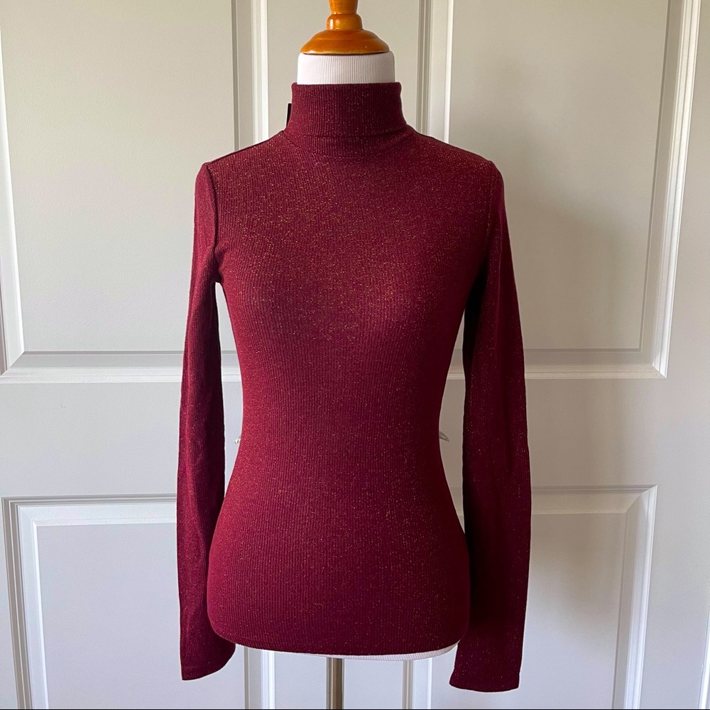 Express Burgundy Turtleneck